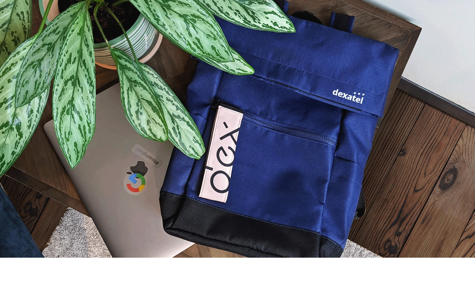 Dexatel Corporate Backpacks