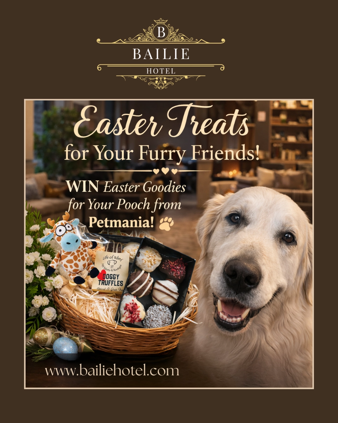 Easter Giveaway – Win Dog Treats