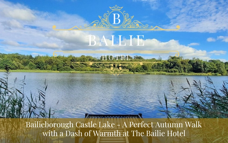 Bailieborough Castle Lake Walk: A Perfect Autumn Walk