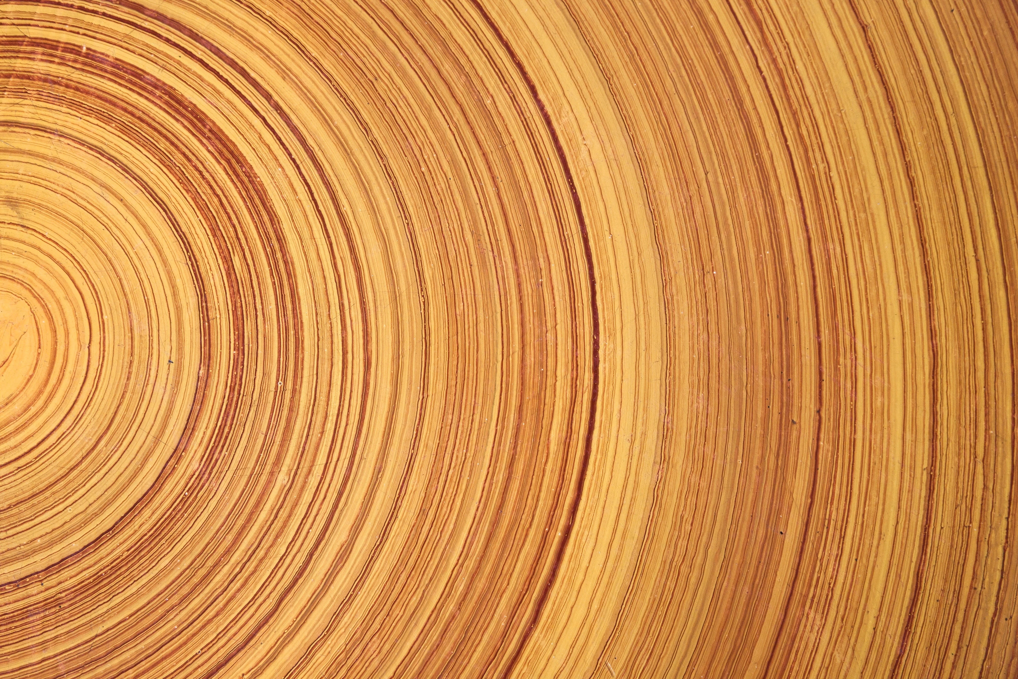 r119-wood-select.jpg