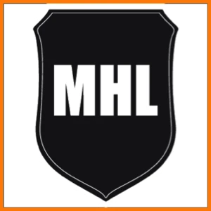 417-midtnorsk-hockey-liga-16797481999265.png