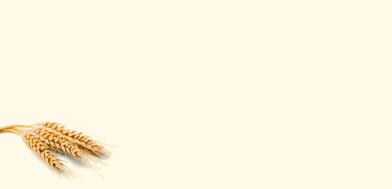 r75-produkte-4-16385277502984.png