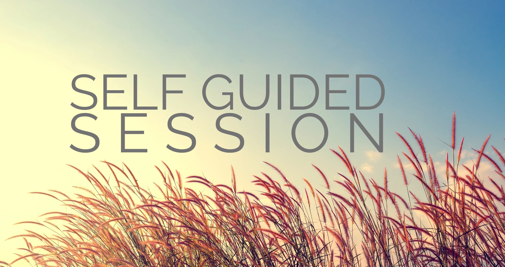 1668-thumbnail-self-guided-session-17613524537095.png