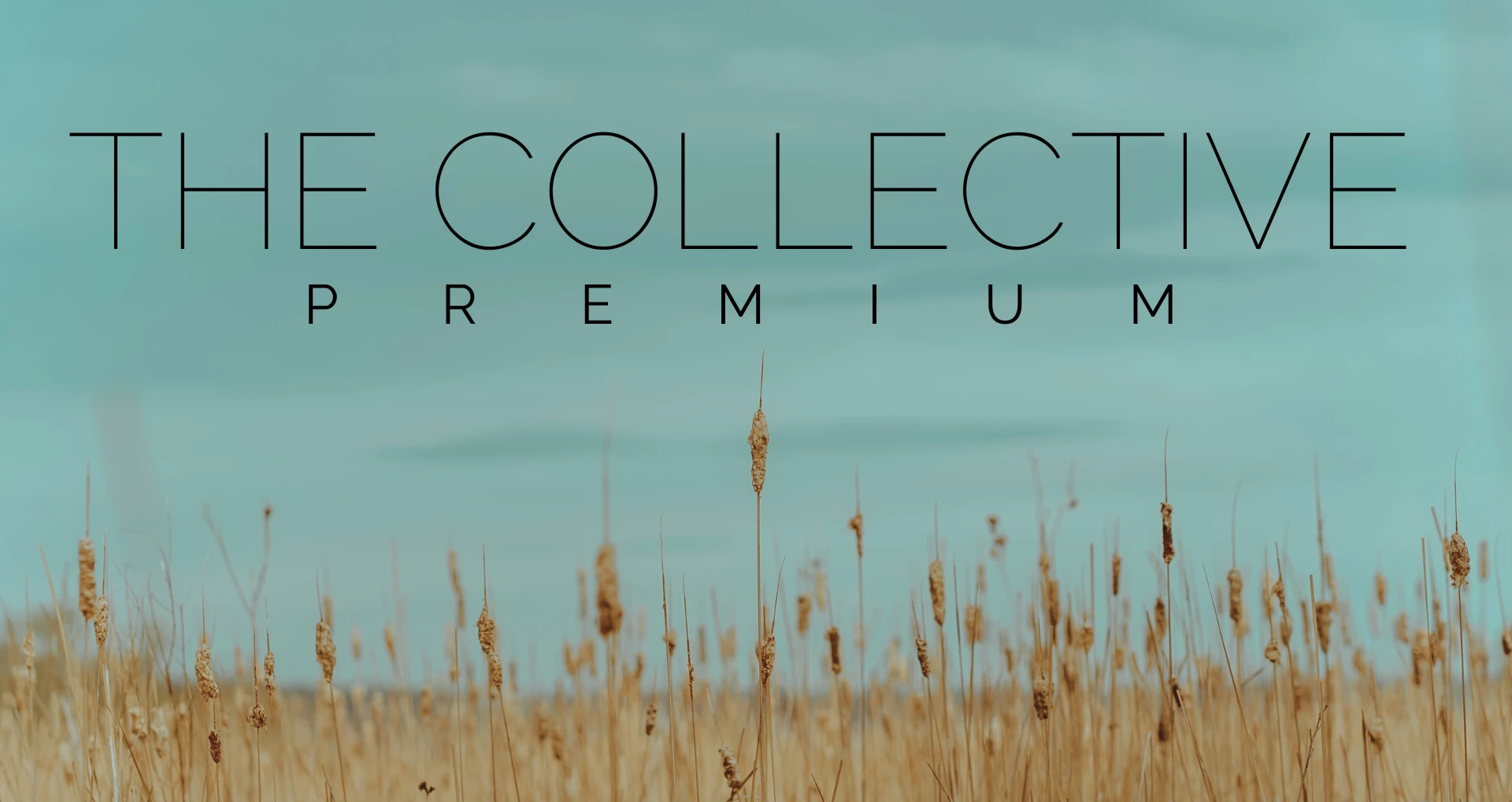 1683-premium-collective-copy-17613515996778.png