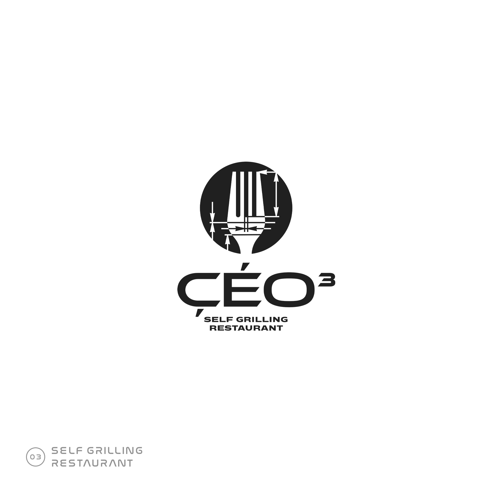 6227-ceo303.png