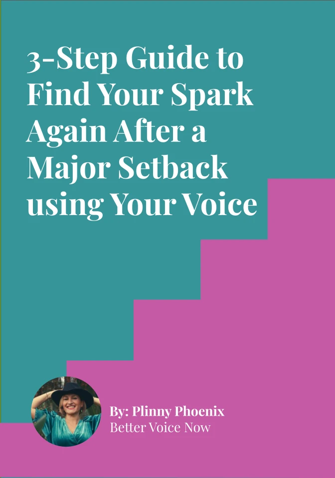 5241-plinnys-3-step-guide-to-find-your-spark-again-after-a-major-setback-17835630362115.png