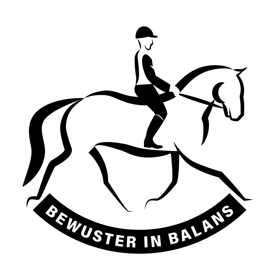 r91-biblogodefzwart-16071092542524.png