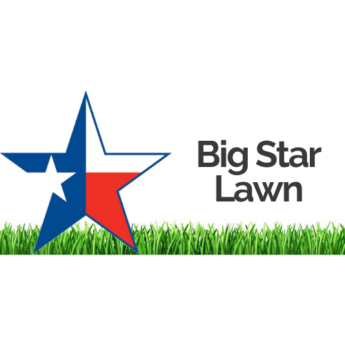 230-big-star-lawn-maintenance---2.png