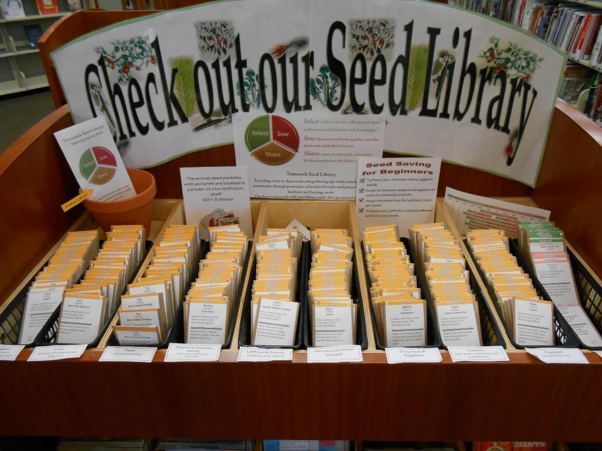 393-seedlibarytararam.jpg