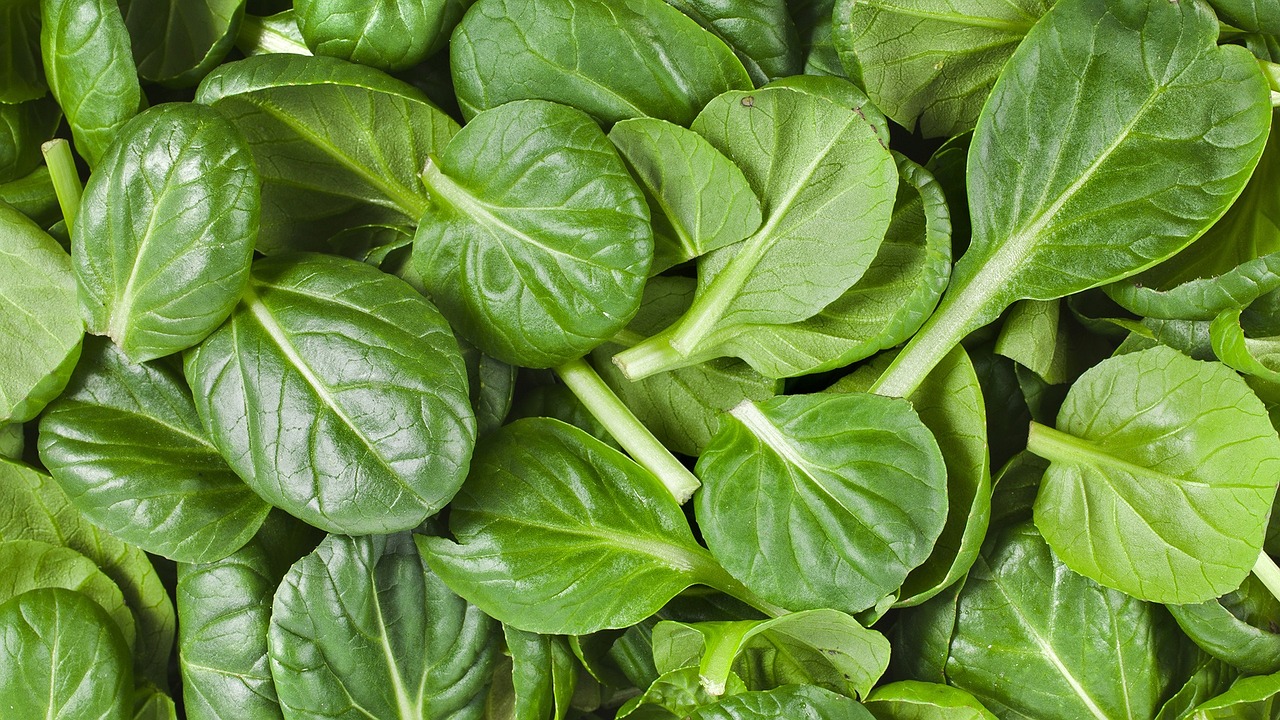 547-spinach-leaves.jpg