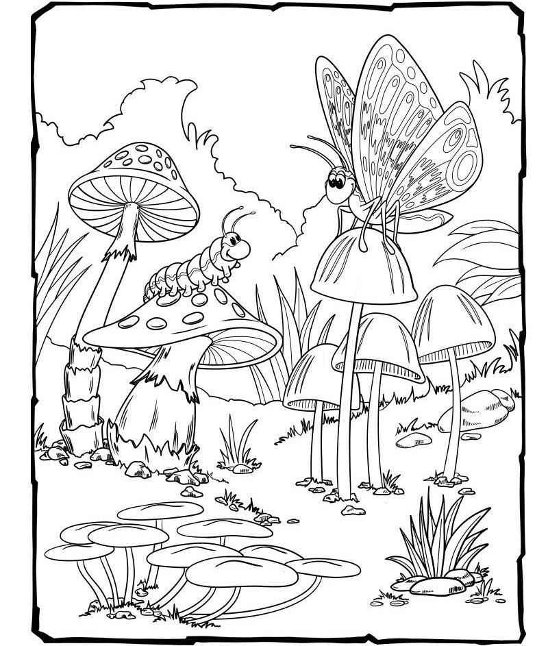 029800943395-interior-kids-coloring-book-adventure-v05-page023-16815863988398.jpg