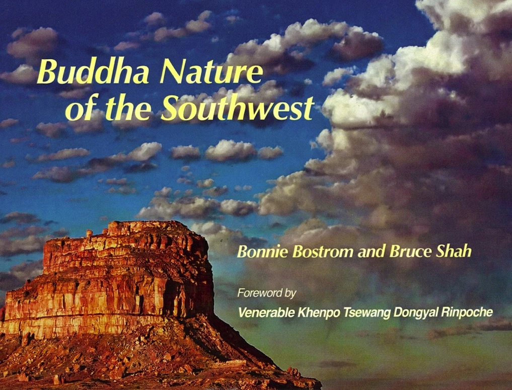 161-buddha-nature-in-the-southwest-bonnie-bostrom.jpg