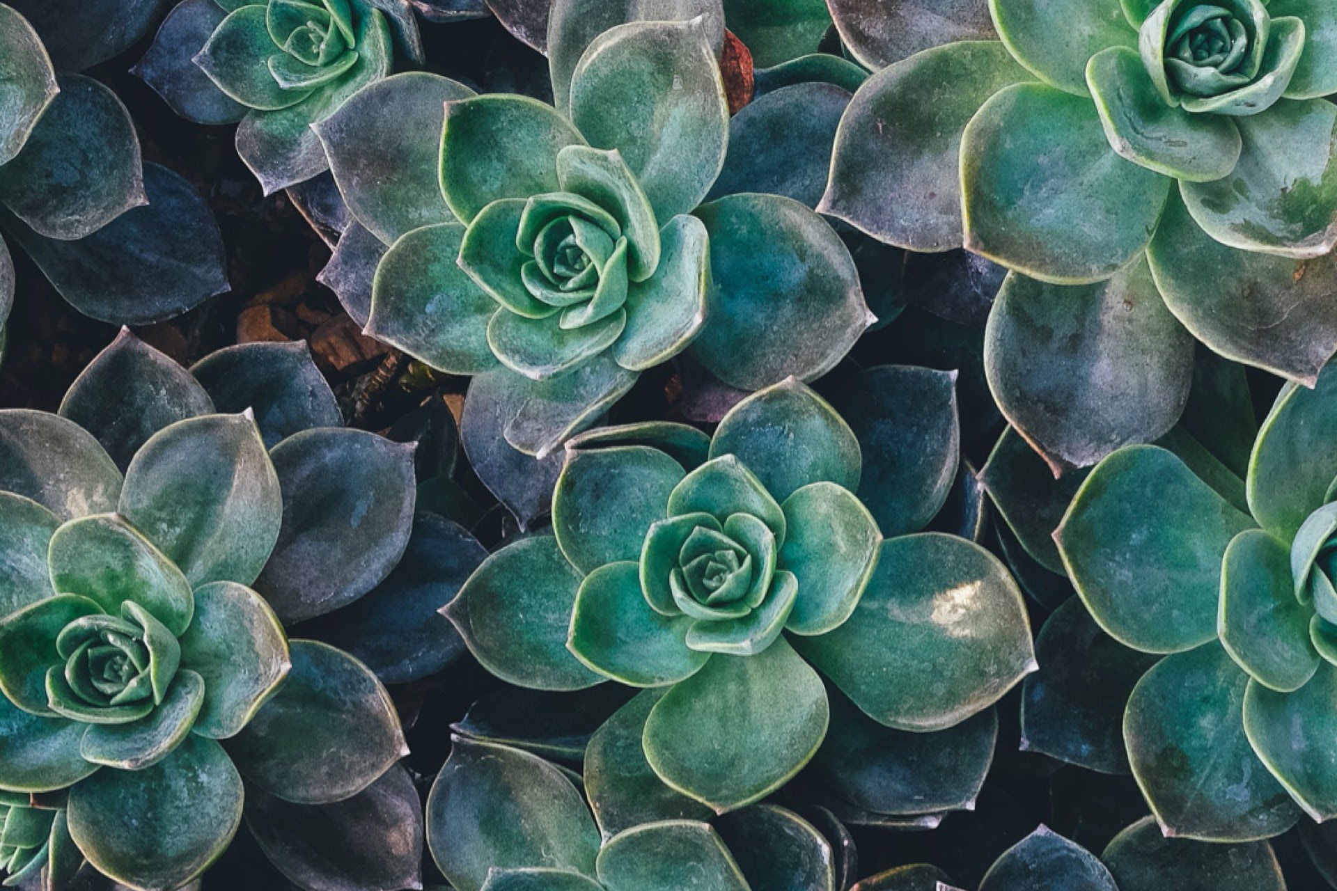 Reader Review: Rick de Yampert on Born Crazy