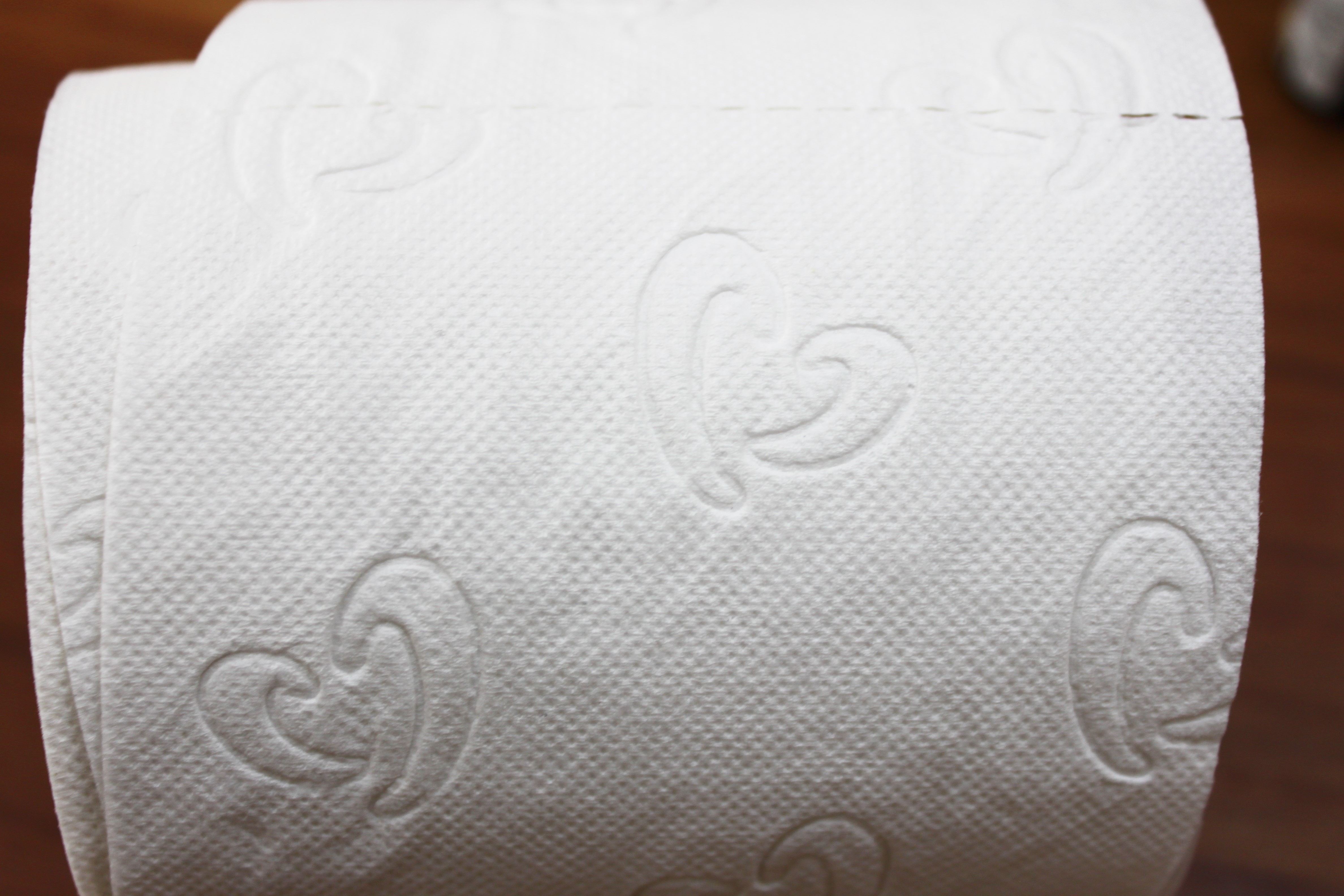 r35-klopapier.jpg