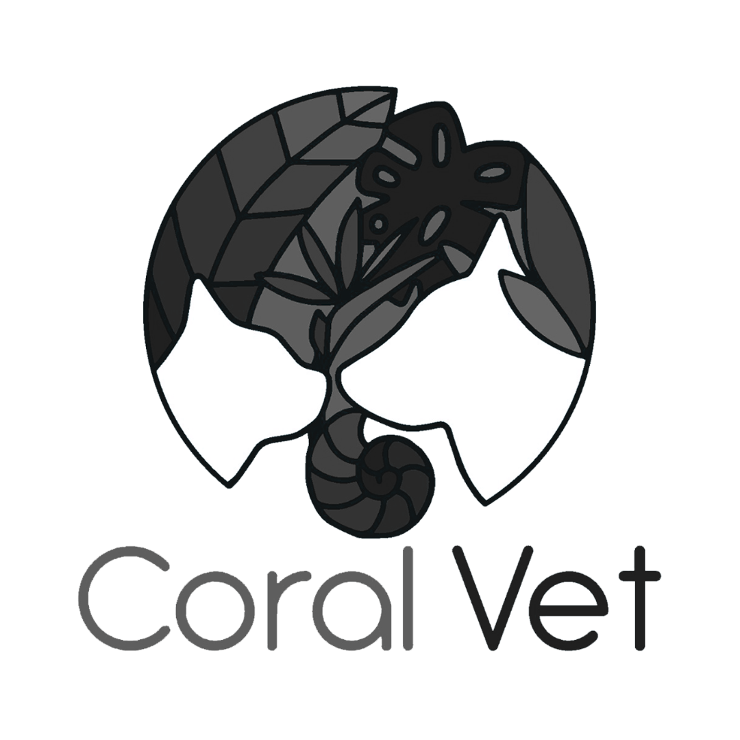 2048-coral-vet-17535519091665.png