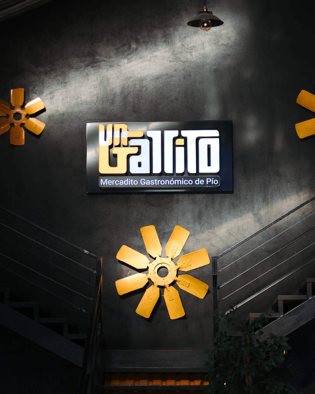 2347-ug13-17727559431077.jpg