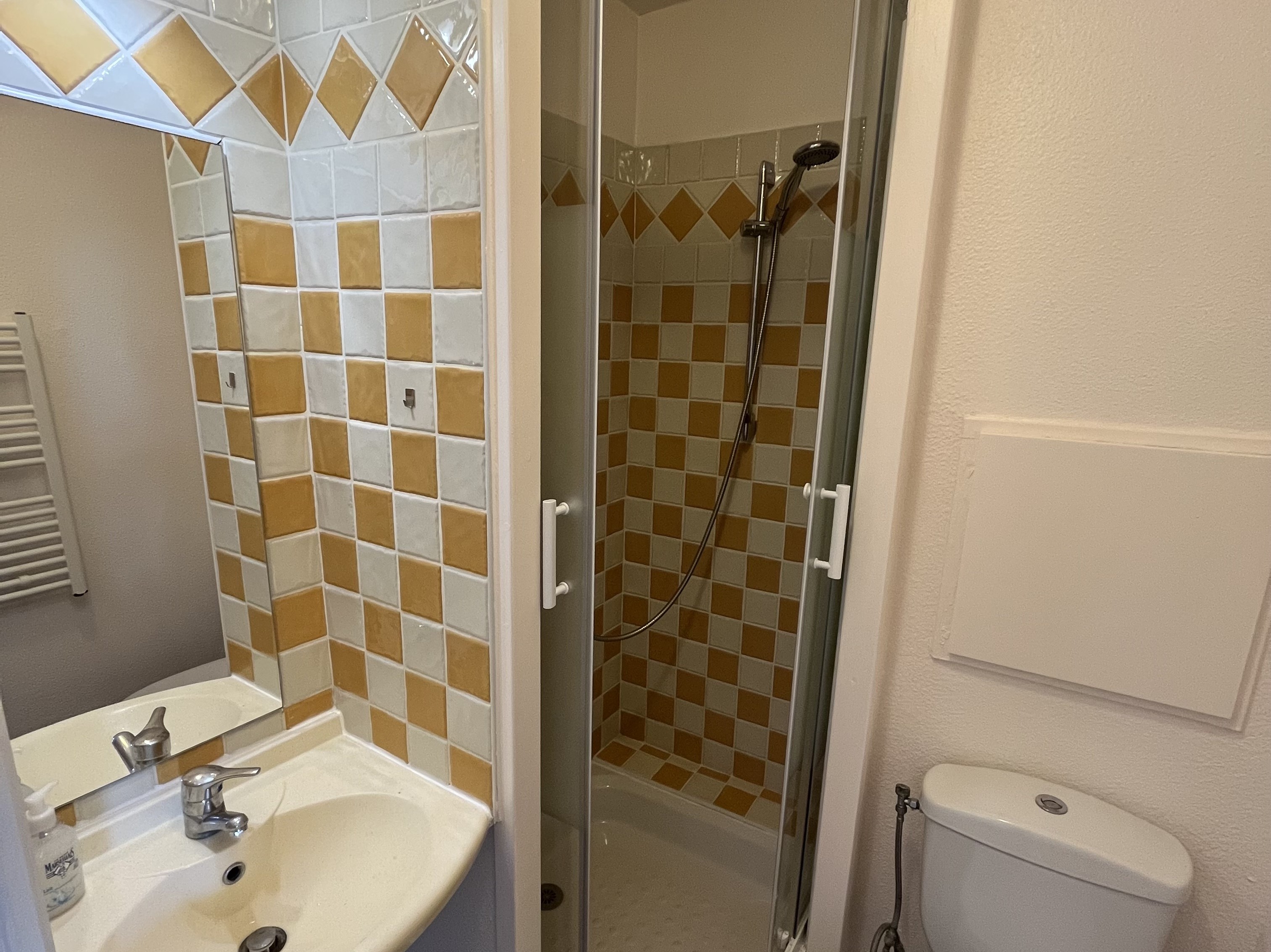 Bath room with bath shower and toilet Bath room with bath shower and toilet