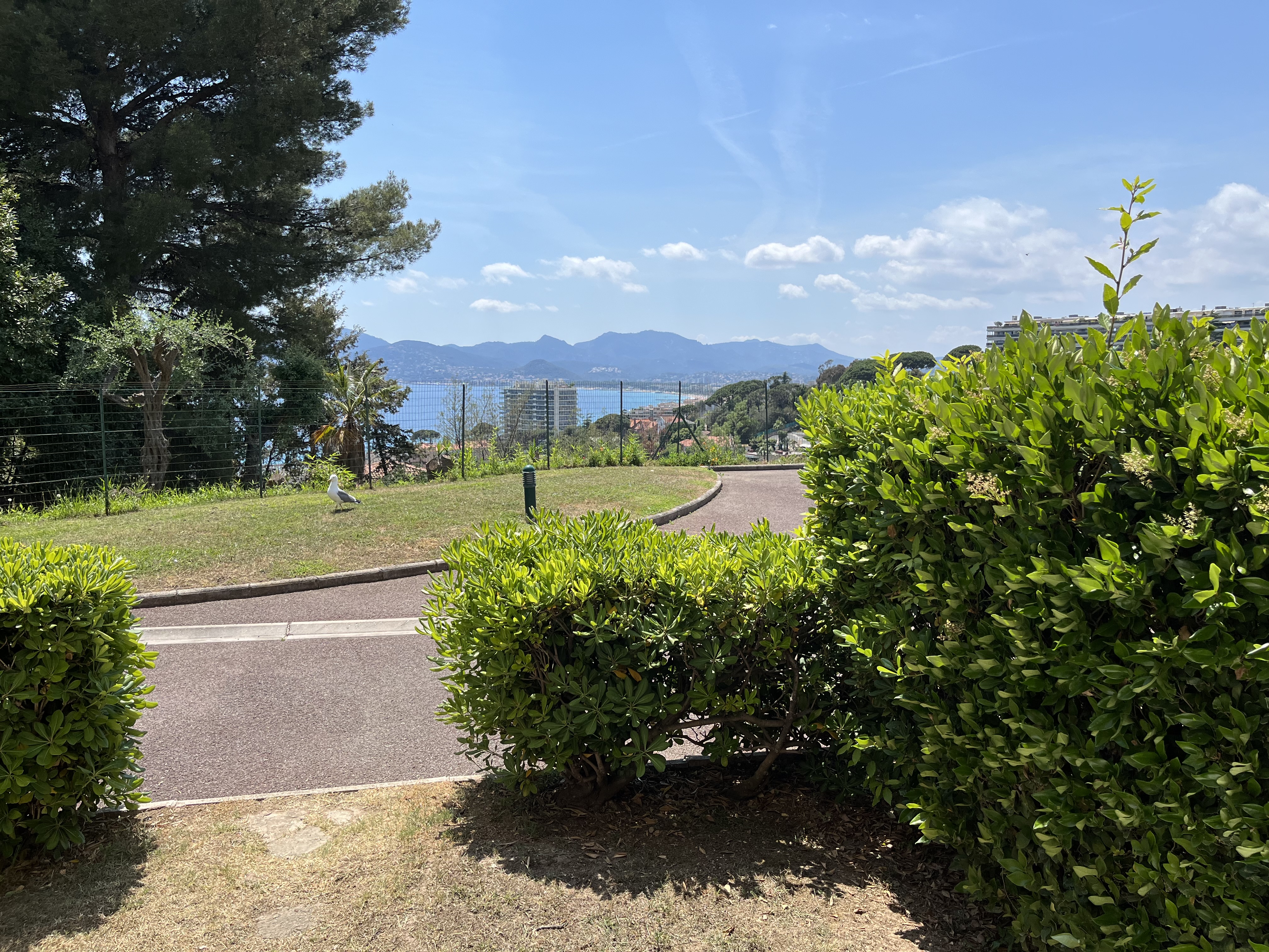 View of sea, bay and Esterel from the terrace