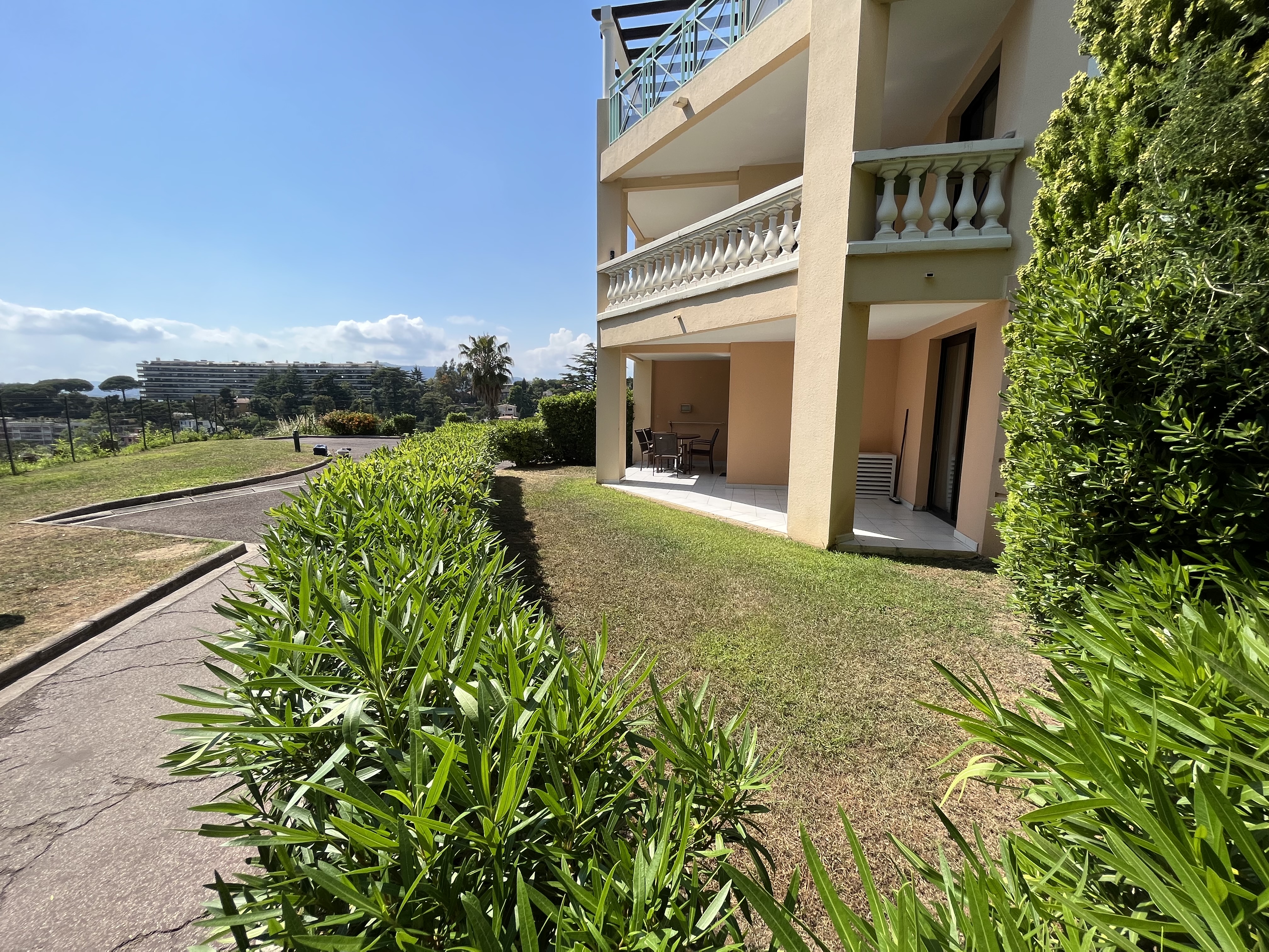 Garden and terrace