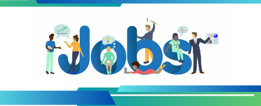 Career Write Jobseekers Guide Career Write Jobseekers Guide