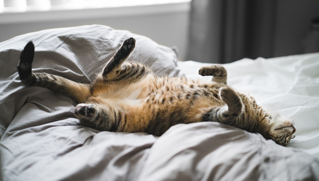 What if I'm not a sport person? 151-lazy.jpg