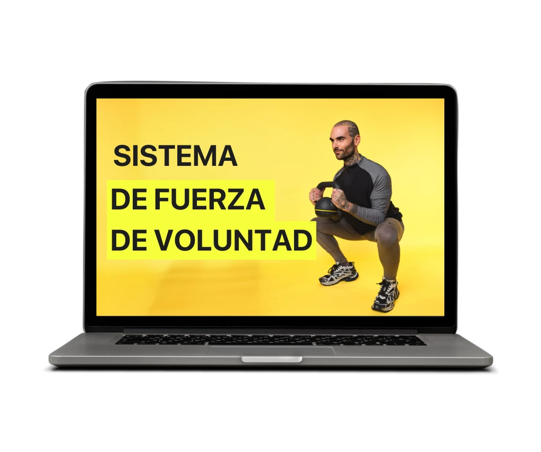 017710809028107-sistema-de-fuerza-de-voluntad-17071473949908.png