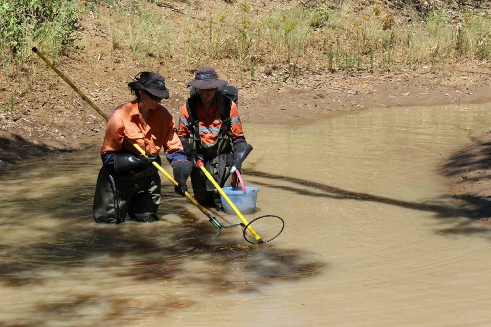 Two ladies electrofishing in a freshwater river