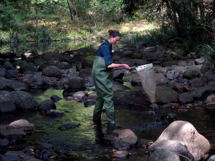 Charlotte sampling with a net in a rocky stream