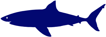 953-sharklogo.png
