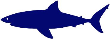 953-sharklogo.png