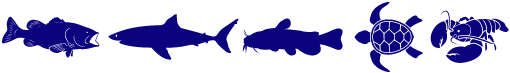 959-groupersharkcatfishturtlecray-1563704753878.png