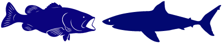 962-shark-grouperlogo.png