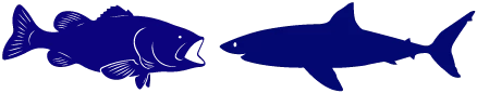 962-shark-grouperlogo.png