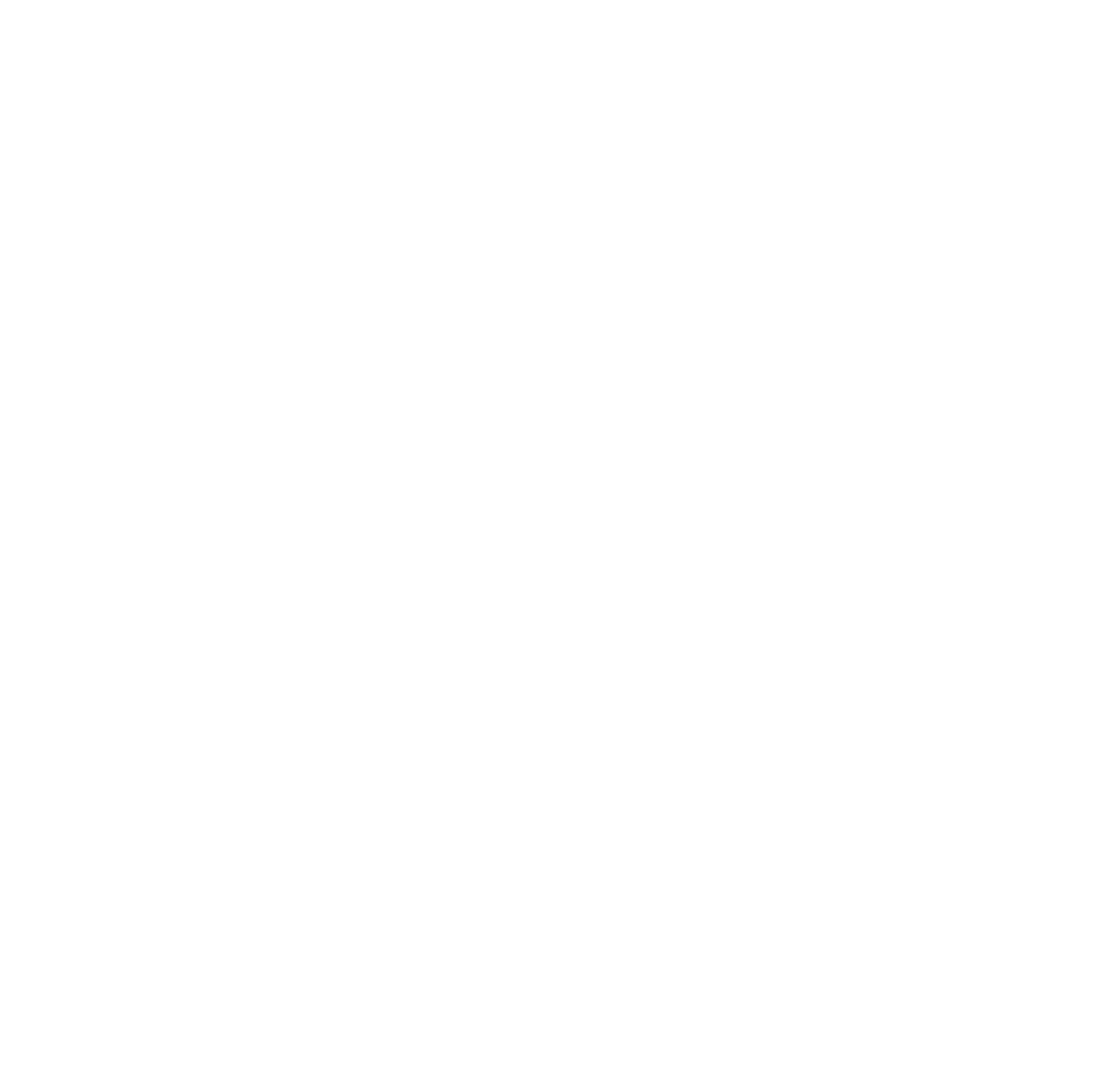 1062-ndrlogoweiss-17850956719959.png