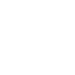 1064-lubecker-nachrichten-logo-pngseeklogo-479304weiss-17850958378758.png