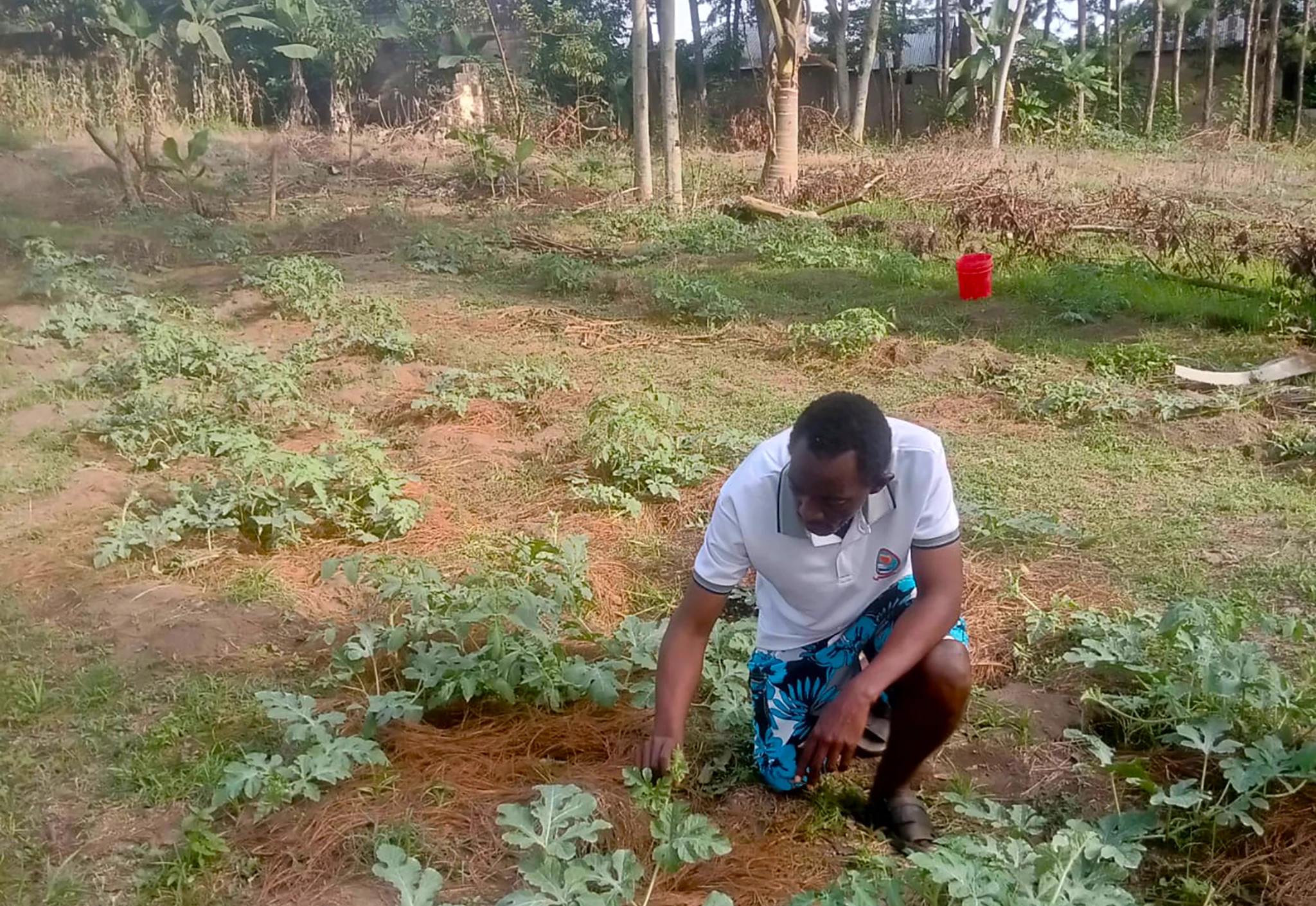 The Covenant House of Love ministry supports Pastor Erick in Tanzania, Africa by providing seeds, supplies, financial assistance, and prayer