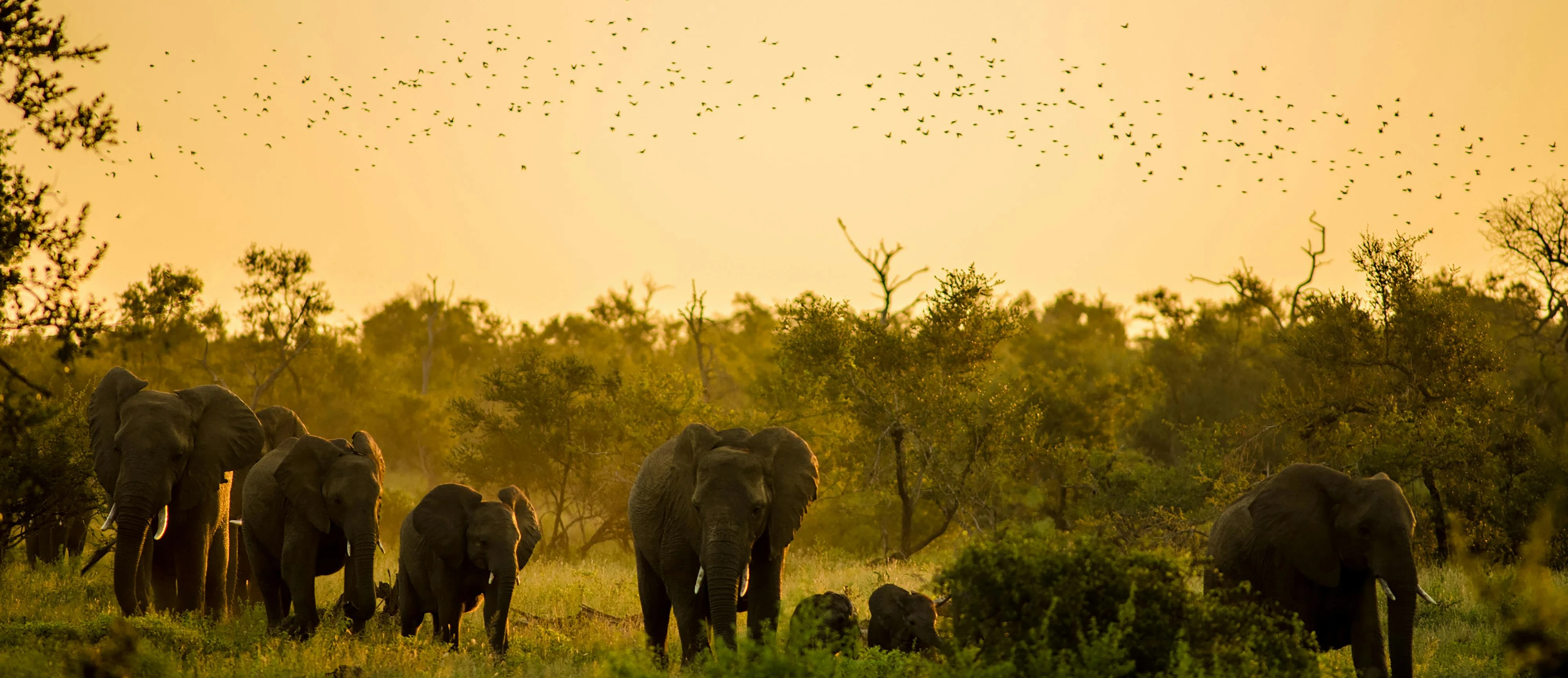 Cape Town & Table Mountain