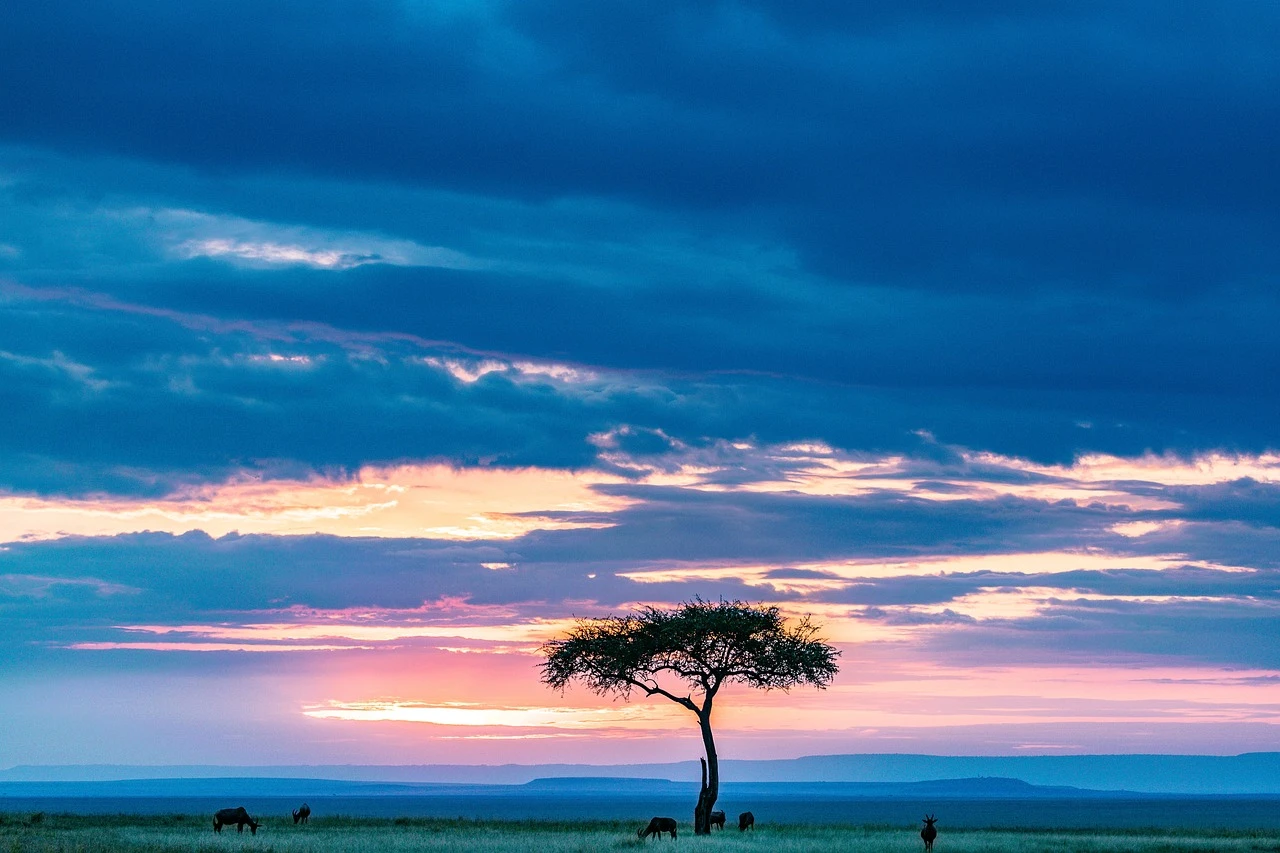 760-maasai-mara-74469391280-17176613446509.jpg