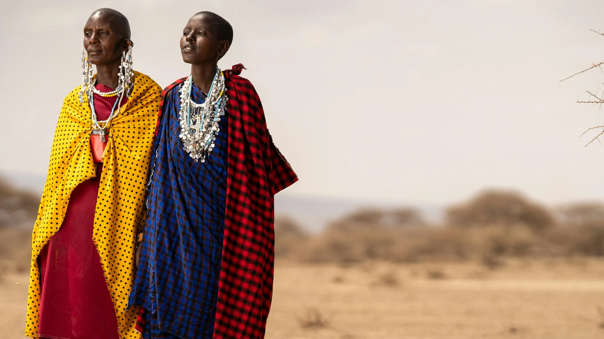 Kenya Digital Nomad Guide