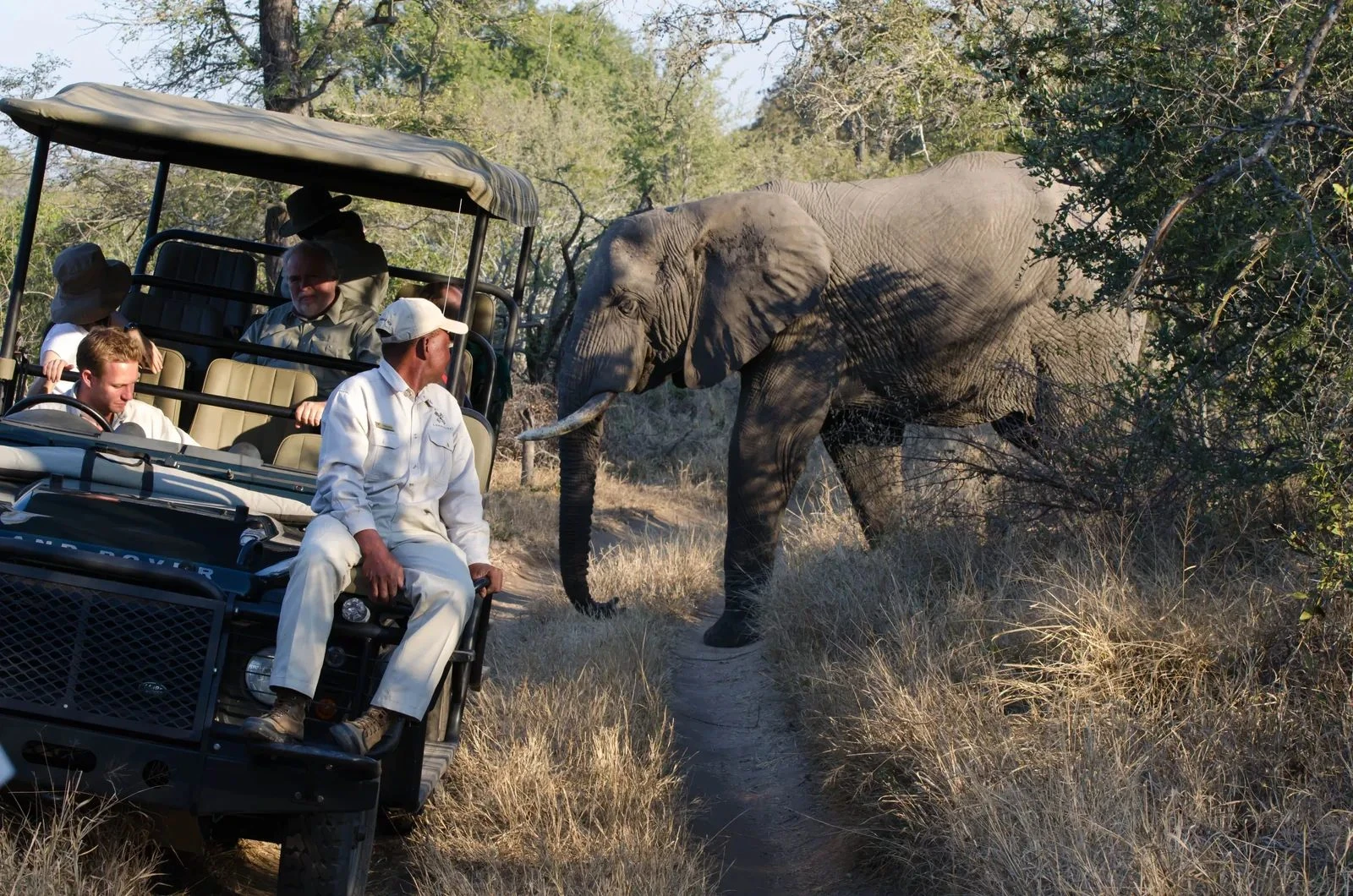 Digital Nomad Insurance for Africa: What Remote Workers Need to Know