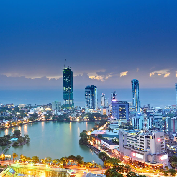 7157-600x600-colombo-17815237223028.png