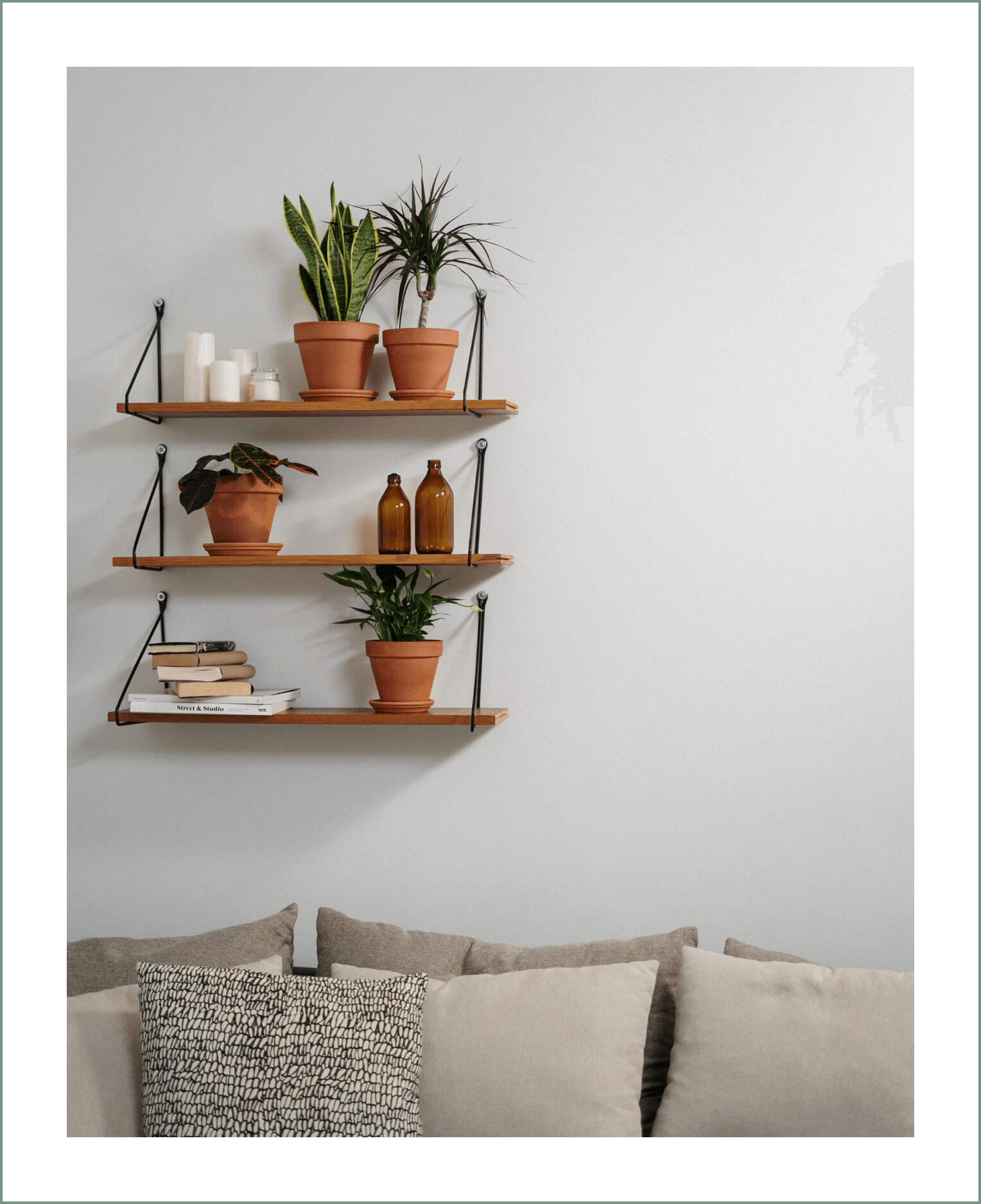 Beginner’s Guide to Plant Care