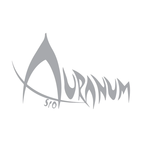 539-auranum-1764753028099.png