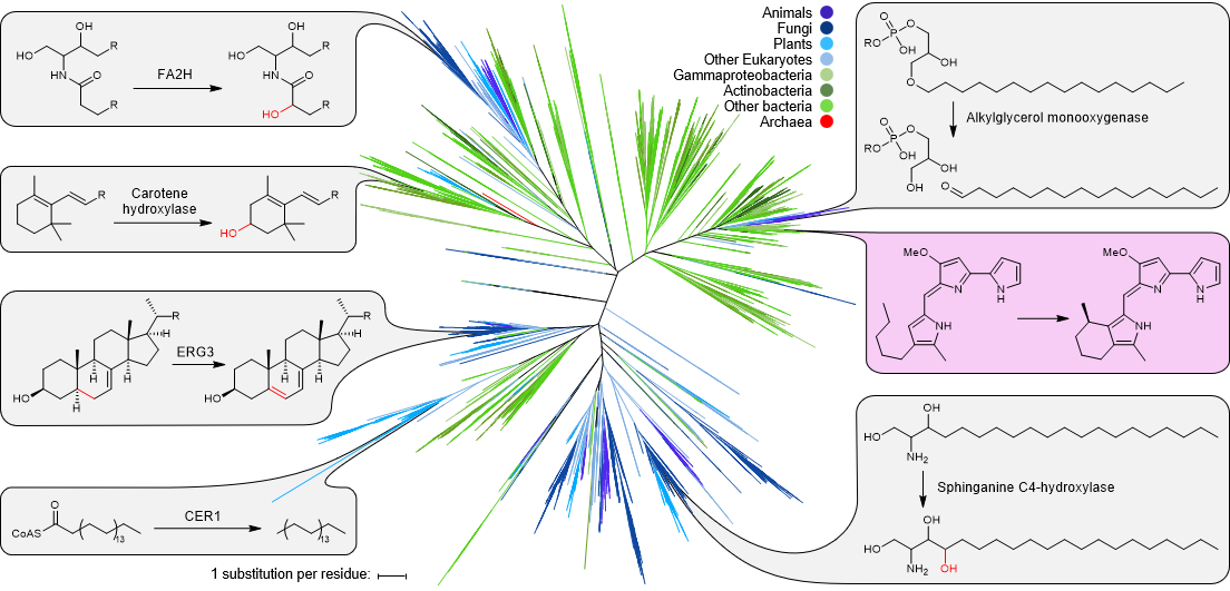 274-prcyclasefig3.png