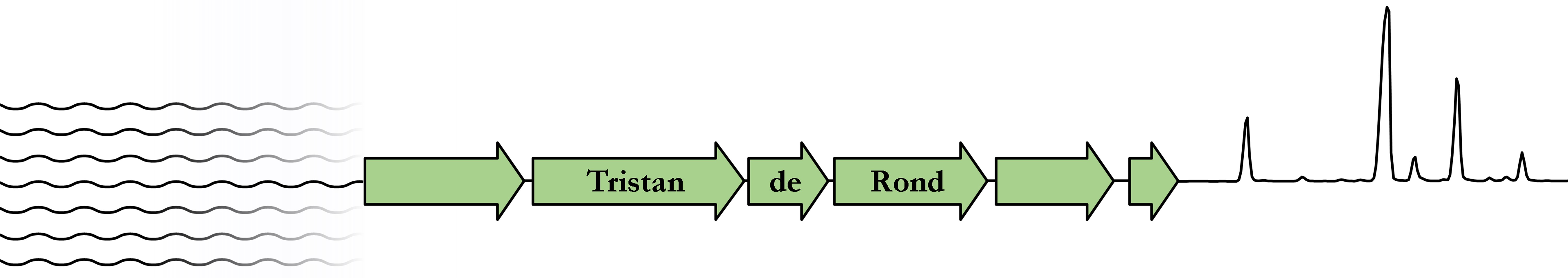 Tristan de Rond 301-websiteheader1b.jpg
