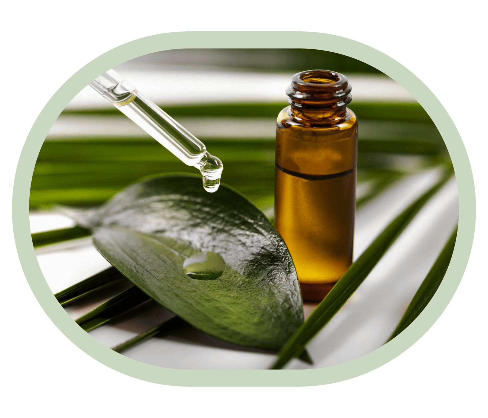 Extracting Natural Oils From Plants