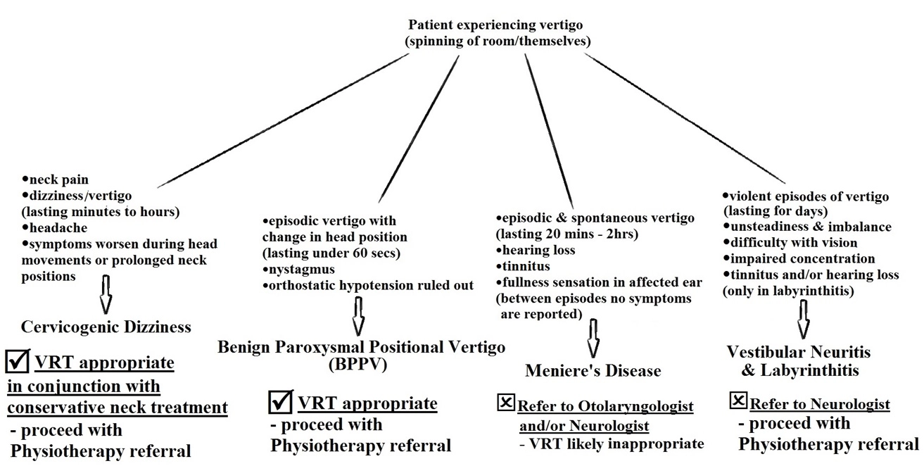 178-differential-diagnosis-of-vertigo-15841602786791.jpg