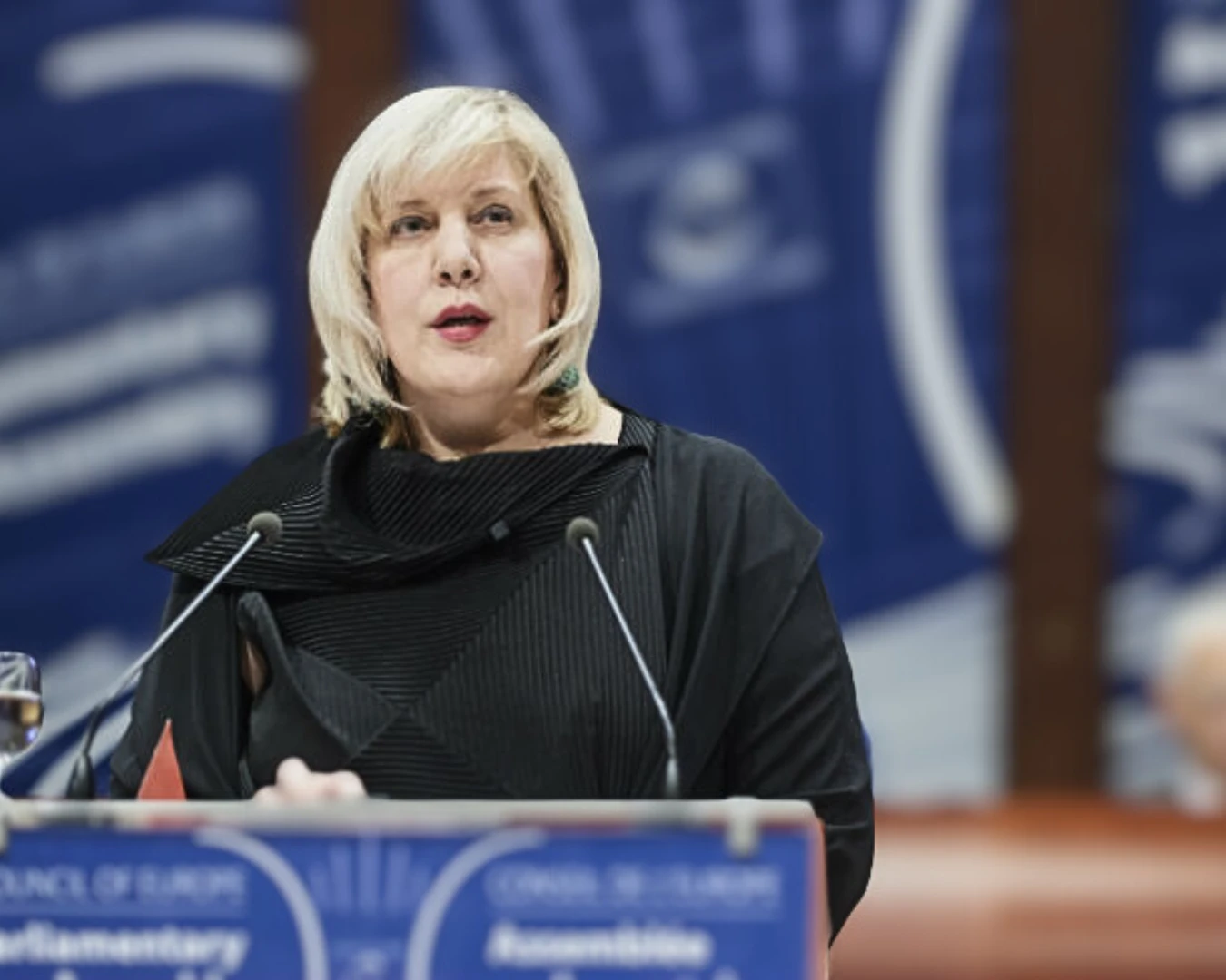 Հանձնակատարի զեկույցը կարևորում է հաշմանդամություն ունեցող տեղահանված անձանց իրավունքների պաշտպանությունը