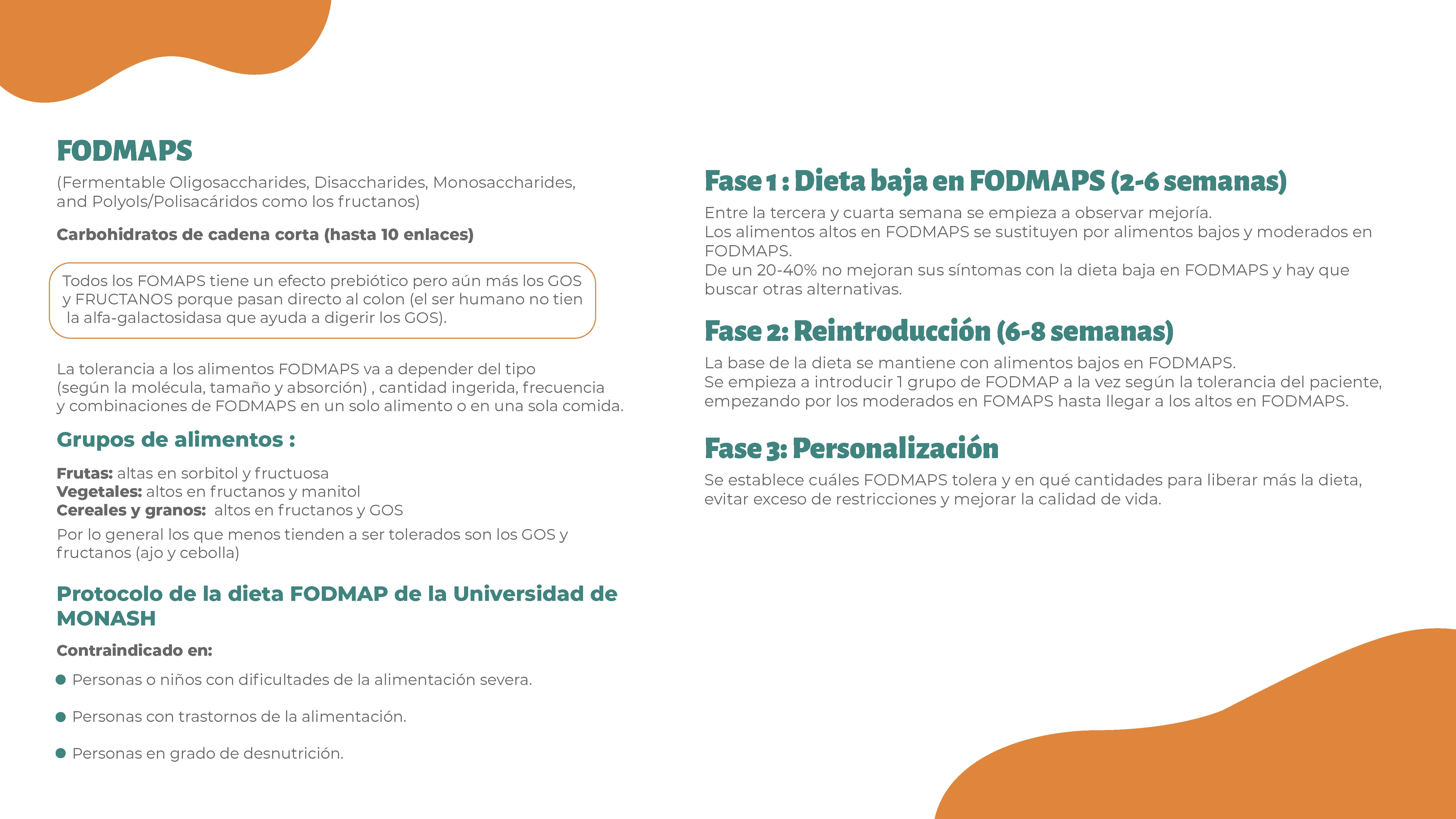 521-fodmap-monash-fase1page03-17715087138494.png