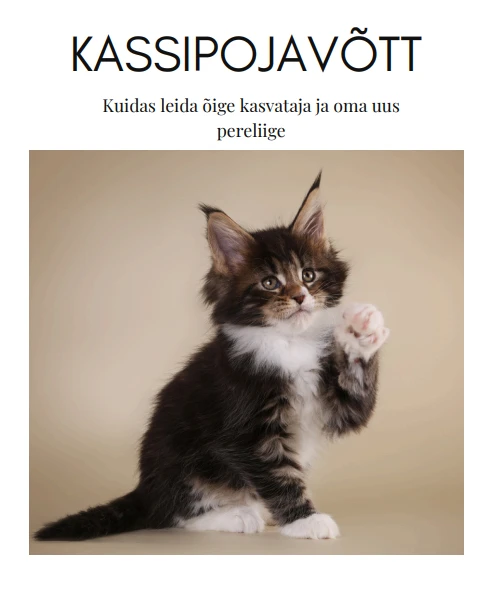 Mida jälgida tõukassi võtmisel ja kuidas mitte petta saada